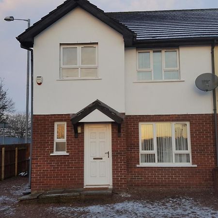 فندق Lawnbrook Town House بلفاست المظهر الخارجي الصورة